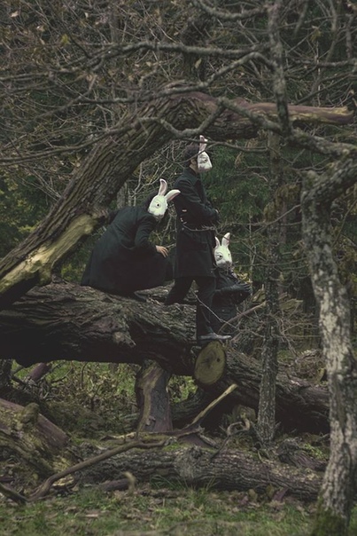 #An_Autumn_For_Crippled_Children