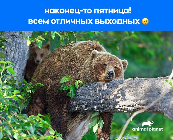 Все мы устали, много всего накипело и просто хочется выговориться. 