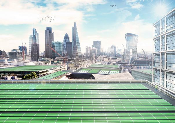 Британский стартап запустил проект BioSolar Leaf, который не только очищает воздух, но и производит белок для создания продуктов